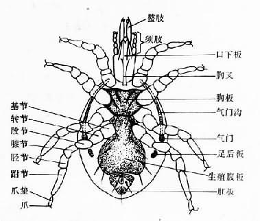 ɳ渹