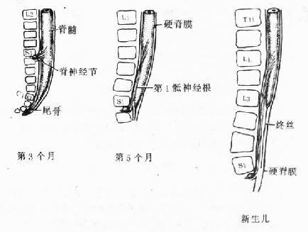 跢뼹Ĺϵ 