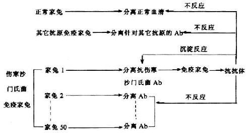 Ϳԭʵ飨Oudin,1963